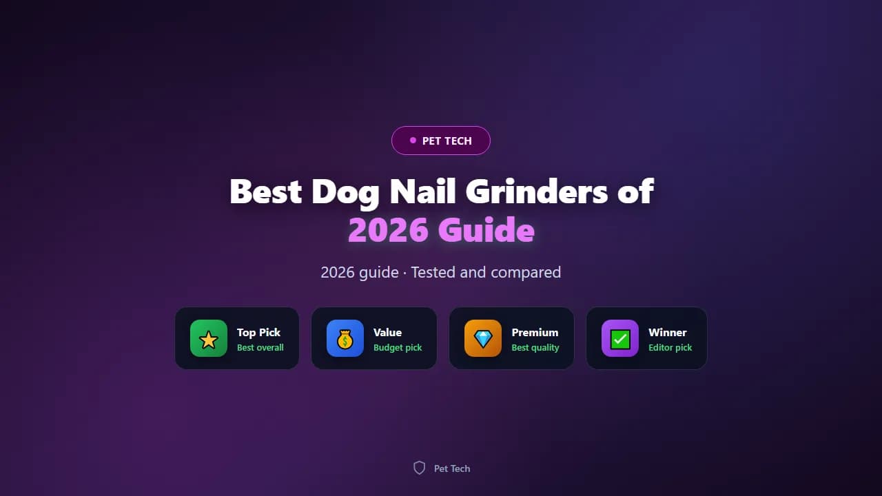 Best Dog Nail Grinders of 2026: Quiet and Safe Trimmers