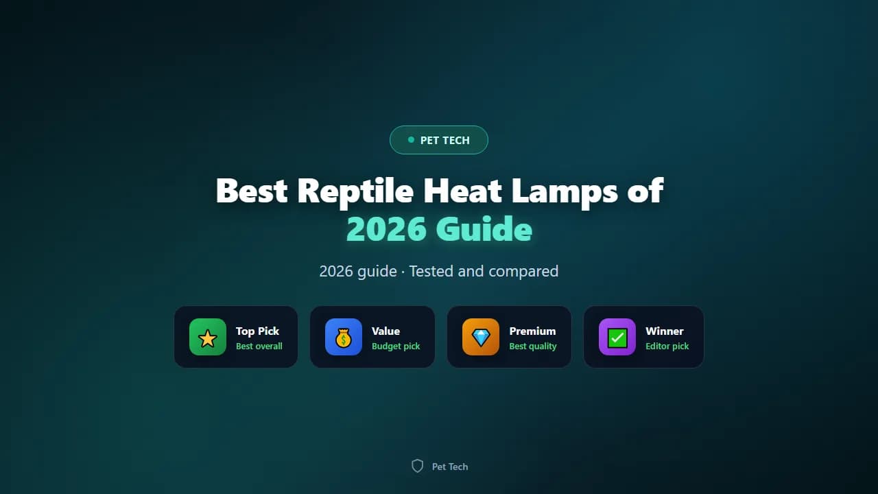 Best Reptile Heat Lamps for Bearded Dragons